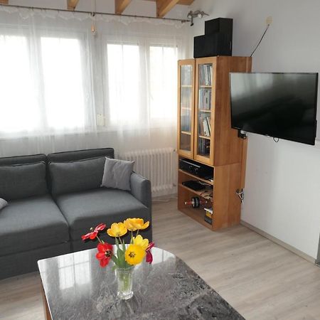 Bodensee Loge 博登斯边的拉多夫采尔 外观 照片
